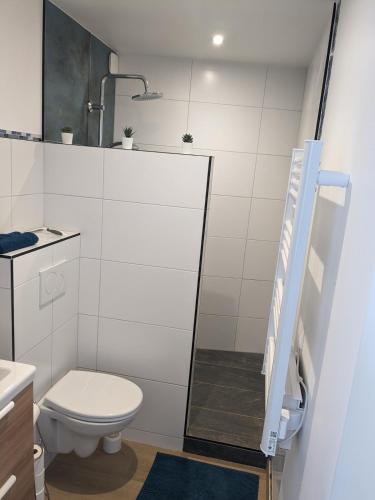 Penuel Tiny House في غرانفيل: حمام مزود بمرحاض ومغسلة ومرآة