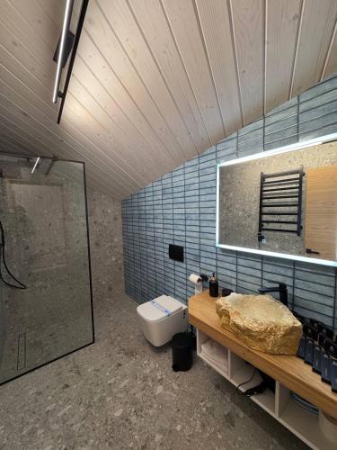 a bathroom with a toilet and a sink and a shower at Evelin in Maidan Village