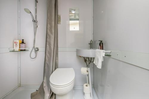 a bathroom with a toilet and a sink and a shower at Cozy two-room city center apartment with garden in Amersfoort