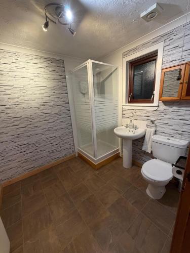 a bathroom with a toilet and a sink and a shower at Sandyloch Flat in Lerwick