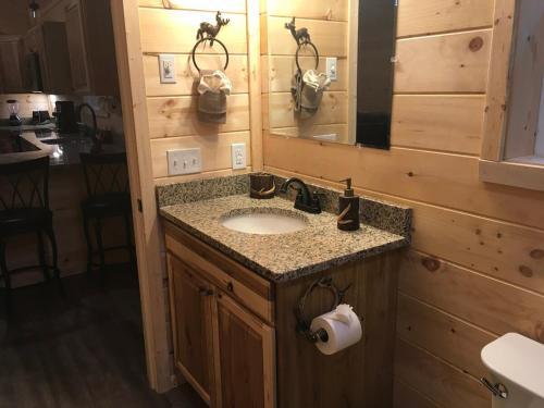 a bathroom with a sink and a mirror at Little Elk Cabin in Banner Elk