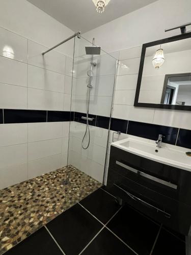 a bathroom with a shower and a sink at Le Petit Sancerrois in Sancerre