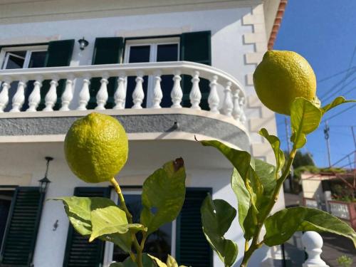 Melody House of Ponta do Sol