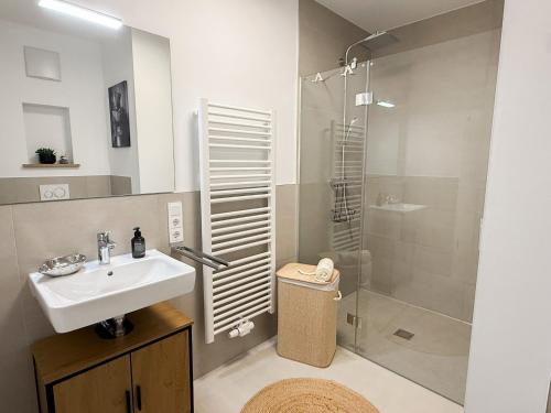 a bathroom with a sink and a shower at Ferienwohnung Seeschlösschen am Dümmer See in Lembruch