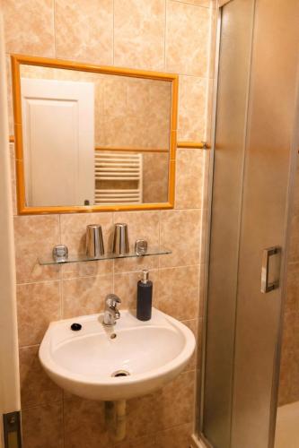 a bathroom with a sink and a mirror and a shower at REVIS Tachov in Tachov