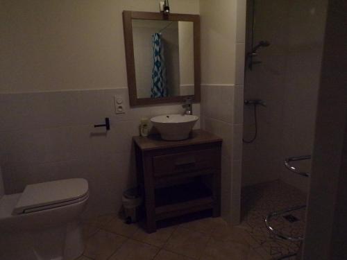 a bathroom with a sink and a toilet and a mirror at La Grange in Dieulivol