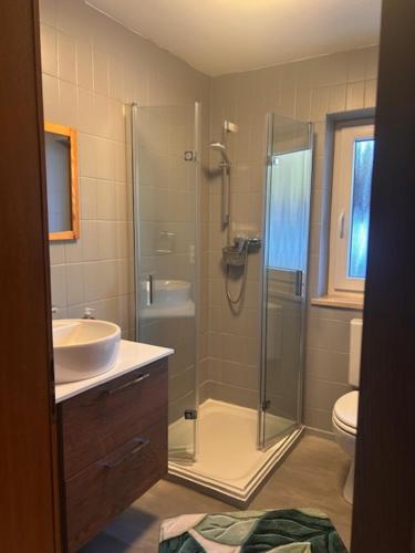 a bathroom with a shower and a sink at Gästehaus Lehnerer Grainau in Grainau