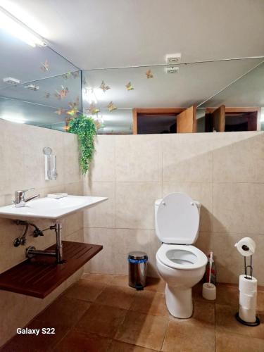 a bathroom with a toilet and a sink at Pousada RIO CALDO in Rio Caldo