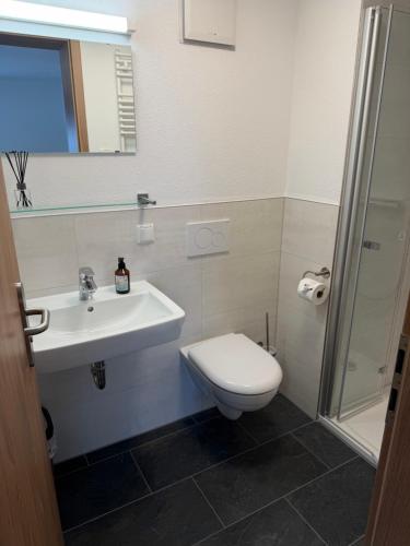 a bathroom with a toilet and a sink and a shower at Das Fränkische Reichenbach in Reichenbach