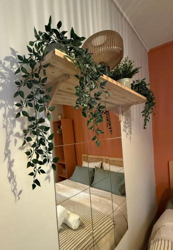 a mirror in a room with plants on it at Charmant studio cosy - hypercentre Capitole in Toulouse