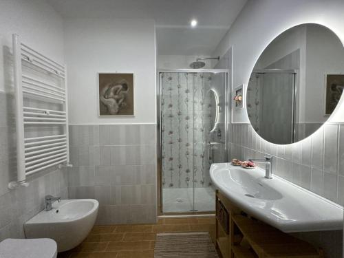 a bathroom with a sink and a shower and a mirror at Le Jardin Fleuri in Castelluccio Valmaggiore