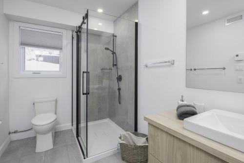 a bathroom with a shower and a toilet and a sink at NatureX Spa River Dogfriendly in Sainte Béatrix