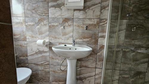 a bathroom with a sink and a toilet at Honey Bee Guesthouse in Rustenburg