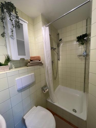 a bathroom with a shower and a toilet and a sink at Gemütliches Appartement Köln in Cologne