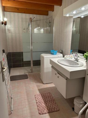 a bathroom with a sink and a shower and a toilet at Le gîte a momo in Annoire
