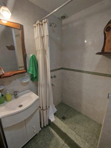a bathroom with a sink and a shower at miradas serranas 2 in Villa Giardino