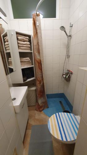 a small bathroom with a shower and a toilet at Happy Corner in Varaždin