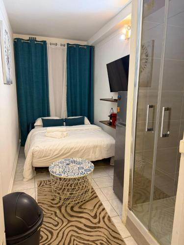 Charming Studio Paris 16 Parc des Princes Bois de Boulogne