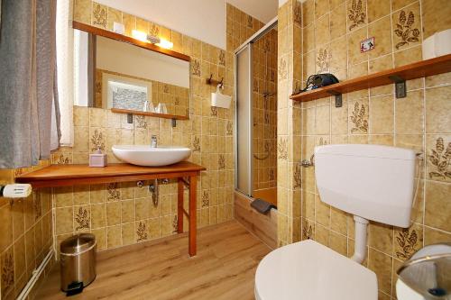 a bathroom with a toilet and a sink at Pension Haus Sonneck in Wildemann