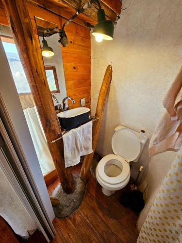 a small bathroom with a toilet and a sink at ECOCABAÑAS CERRO ARKO in Mendoza