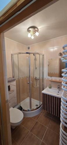 a bathroom with a shower and a toilet and a sink at Willa na Bartkowym Wierchu in Gliczarów Górny