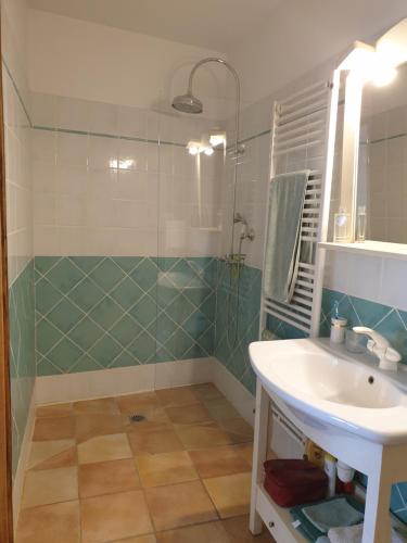 a bathroom with a sink and a shower at Studio, chambre d'hôtes dans mas provençal in Sauzet