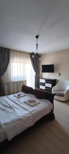 a bedroom with a large bed and a television at Cazare Garden Bragadiru Clinceni Domnești in Ordoreanu