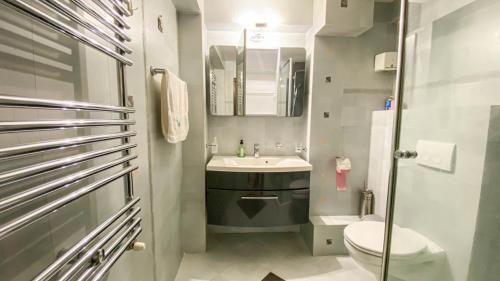 a small bathroom with a sink and a toilet at Cazare Garden Bragadiru Clinceni Domnești in Ordoreanu