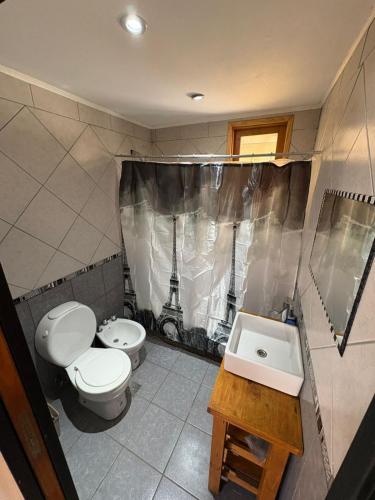 a bathroom with a toilet and a sink at Complejo Cabañas Ganesh in Lago Meliquina