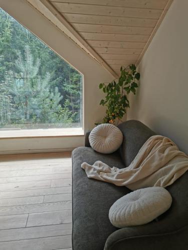 a living room with a couch and a window at Słonna Chatka in Wujskie