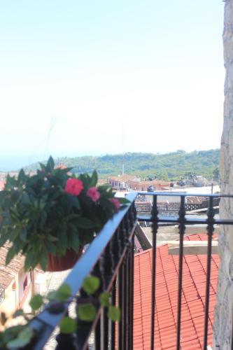 a balcony with a potted plant on a railing at Hotel Boutique La Casona de Don Porfirio in Jonotla