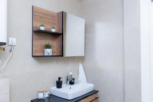 a bathroom with a white sink and a mirror at Amfora Novi Sad in Pasuljište
