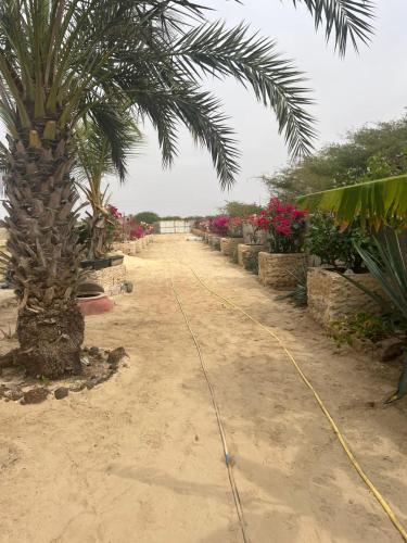 Jardí fora de EscladeslacS