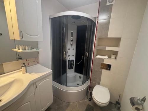 a bathroom with a shower and a toilet and a sink at Pokoje Gościnne U Niny - Szklarska Poręba in Szklarska Poręba