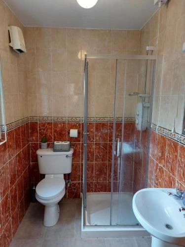 a bathroom with a toilet and a shower and a sink at Latin Quarter Townhouse in Galway