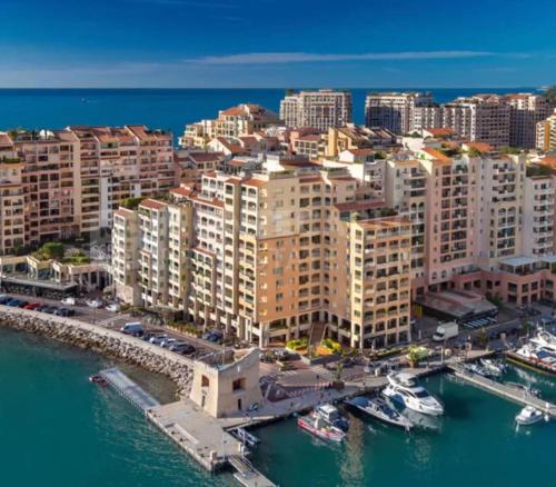 Luxury Retreat in Monaco with Rare Private Parking, Pool, AC and Wifi photo 7