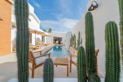 a villa with a pool with cactuses and chairs at Abasolo Clubhouse in La Paz