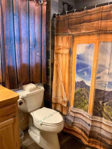 a bathroom with a toilet and a shower curtain at Country Bumpkin Cabin in Banner Elk