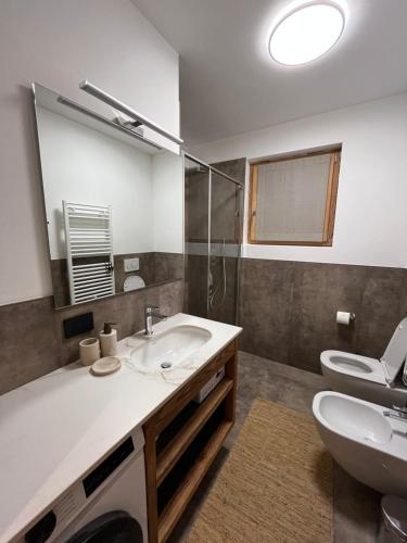 a bathroom with a sink and a toilet and a mirror at Baita Piazza in Valdisotto
