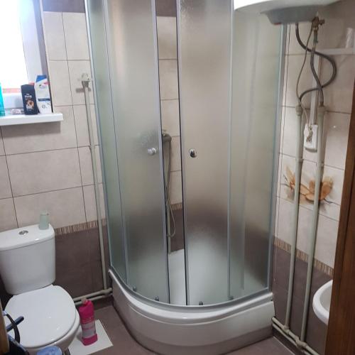 a bathroom with a shower with a toilet and a sink at Горянка in Guta