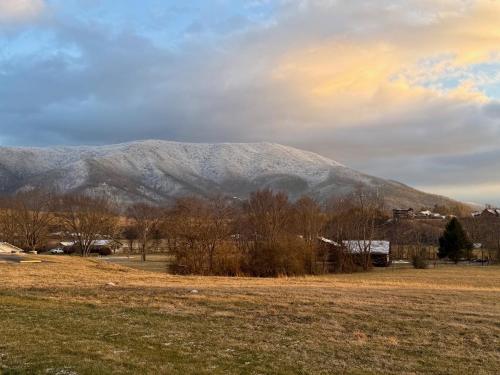 a mountain in the distance with a field and trees at Bears Valley Inn -Peaceful, Pet Friendly Family Getaway, Less than 15 min to Attractions, with Game Room, Fire Pit & BBQ, Easy, Flat Roads in Sevierville