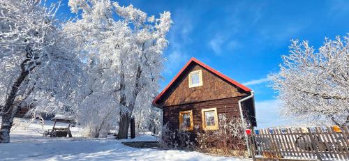 a small house in the snow with trees at Pod Wysokim Niebem in Wysokie