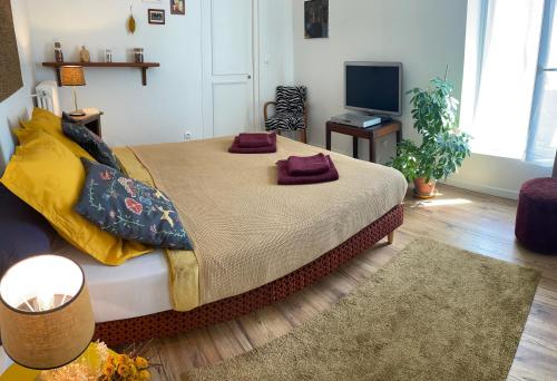 Suite - Chambre Cherry Plum