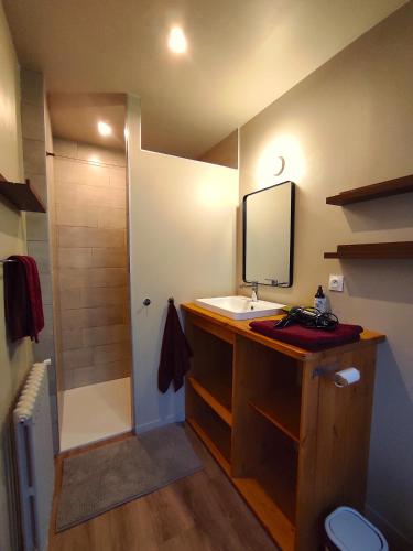 a bathroom with a sink and a mirror and a shower at Suite - Chambre Cherry Plum in Coulommiers