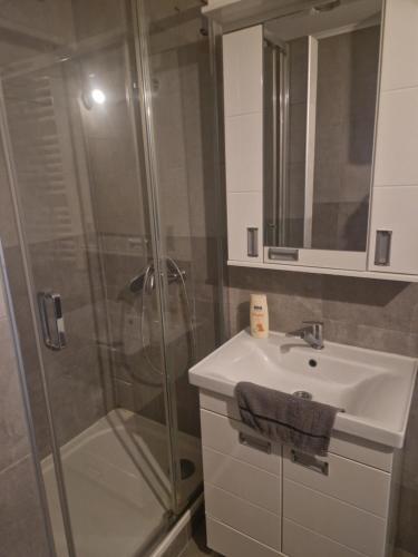 a bathroom with a sink and a shower at Centro apartman 3 in Pančevo