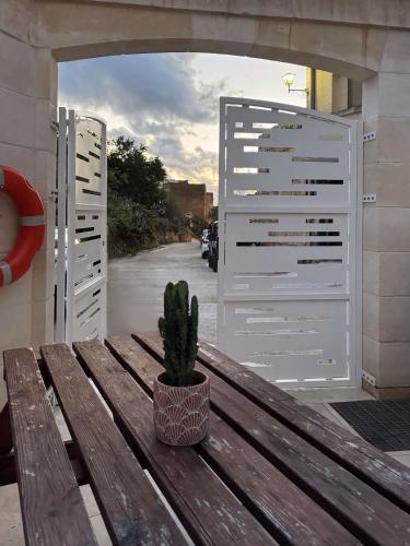 a cactus sitting on a wooden bench in front of a gate at Dar il-Wied in Għajn il-Kbira