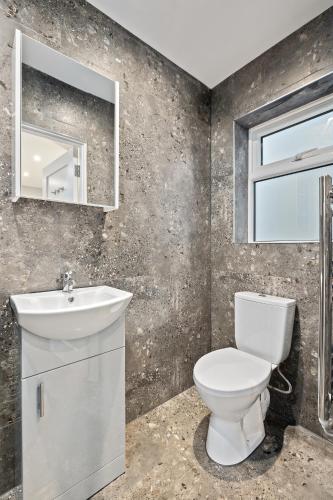a bathroom with a toilet and a sink and a mirror at South Dublin Studio Apartment in Dublin