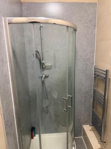 a shower with a glass door in a bathroom at Prentis Road in London