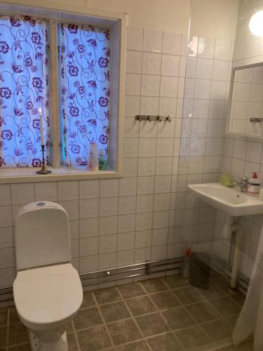 a bathroom with a toilet and a sink at Huså Herrgård in Järpen
