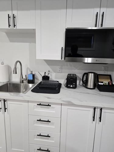 a kitchen counter with a sink and a microwave at Cozy 1-Bedroom Suite Winnipeg in Winnipeg